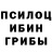 Галлюциногенные грибы Psilocybe TOB_CYXOB
