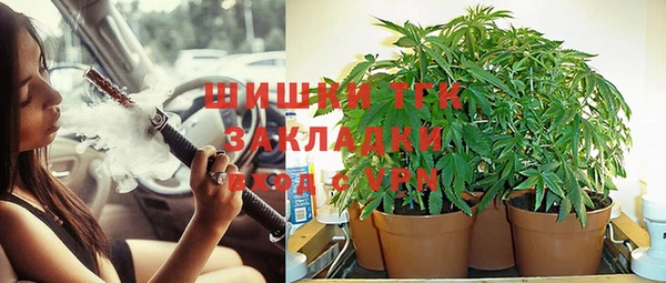 мяу мяу мука Горно-Алтайск