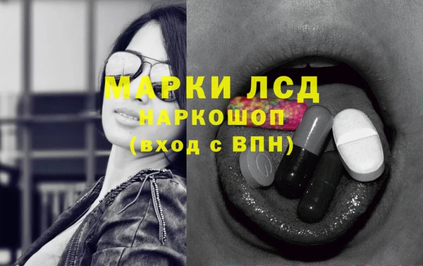мяу мяу мука Горно-Алтайск