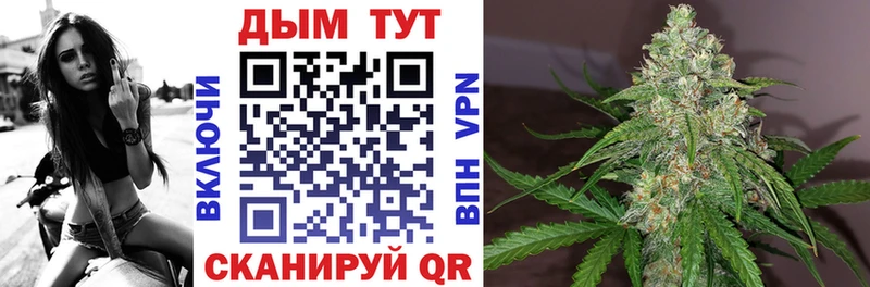 Бошки Шишки THC 21%  закладка  Дмитриев 